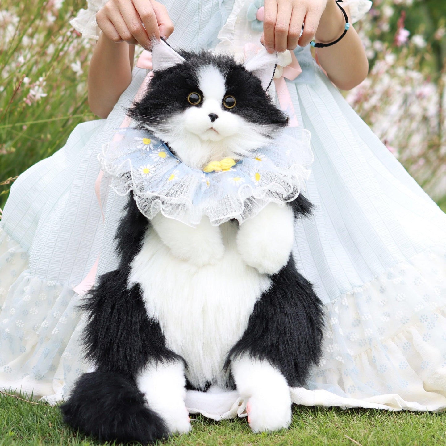 Ragdoll Cat Backpack – Cozy Companion for Travel & School