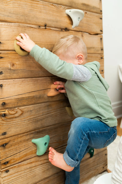 Premium Rock Climbing Holds (Moon Rocks) - Everett & Avery Co. - Indoor Climbing Wall - Rock Climbing Holds for Kids